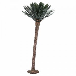 palmera para el pesebre