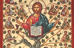 arbol de la vida