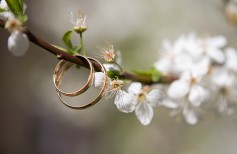 Curiosidad sobre el matrimonio