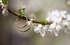 Curiosidad sobre el matrimonio: cómo se celebran los matrimonios en el mundo