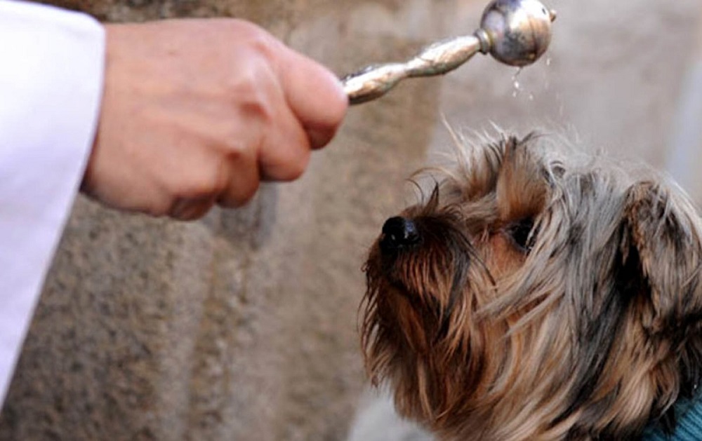 La bendición de los animales