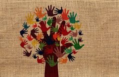 voluntariado en la iglesia catolica covid