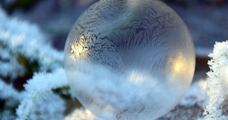 Los Árboles de Navidad nevados: la guía definitiva