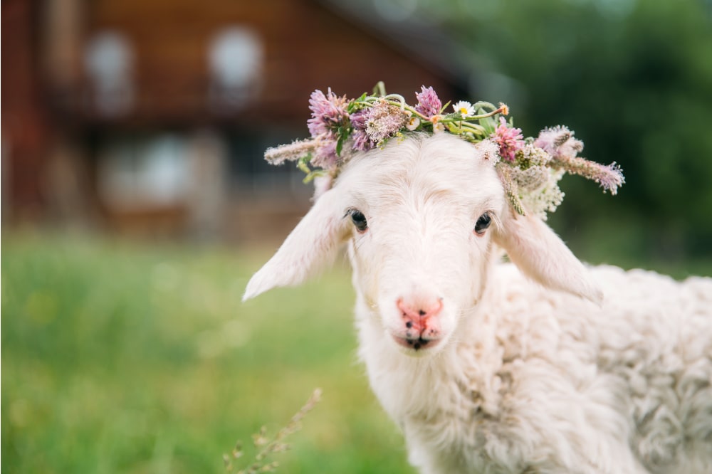 Los animales símbolos de la Pascua cristiana - Holyart.es Blog