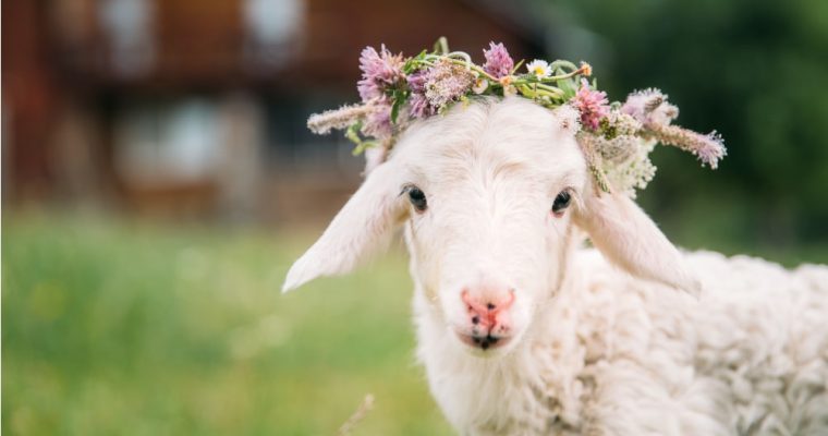 Los animales símbolos de la Pascua cristiana