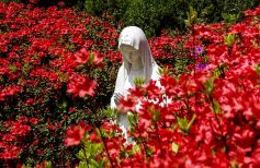 La Virgen del Rosal