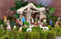 Construir el Pesebre según los consejos de expertos -  Blog