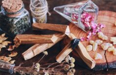 El palo santo propiedades y beneficios de su preciada madera