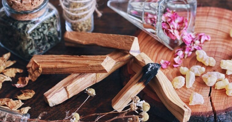 El palo santo: propiedades y beneficios de su preciada madera