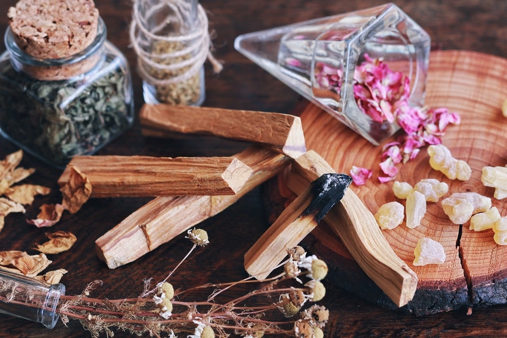 El palo santo: propiedades y beneficios de su preciada madera