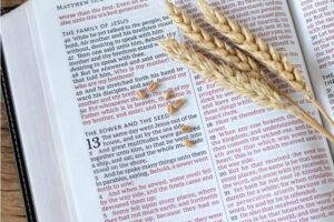 Todas las parábolas de Jesús