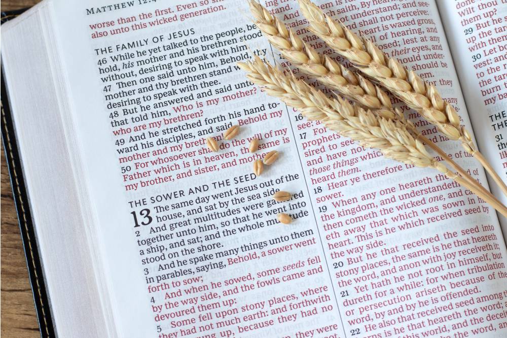 Todas las parábolas de Jesús