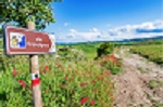 Via-Francigena