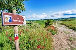 Via-Francigena-es