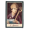 tapiz-san-genaro-65-x-45-cm